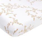 Product Image-1