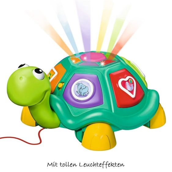 Ministeps Lernspaß-Schildkröte 5-in-1