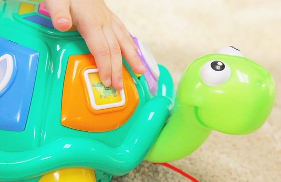 Ministeps Lernspaß-Schildkröte 5-in-1