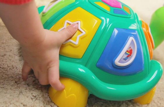 Ministeps Lernspaß-Schildkröte 5-in-1