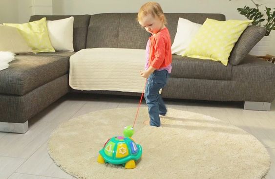 Ministeps Lernspaß-Schildkröte 5-in-1