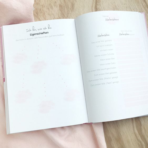 Mintkind Erinnerungsbuch / Babytagebuch - Mein erstes Jahr - Rosa