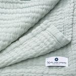 Product Image-3