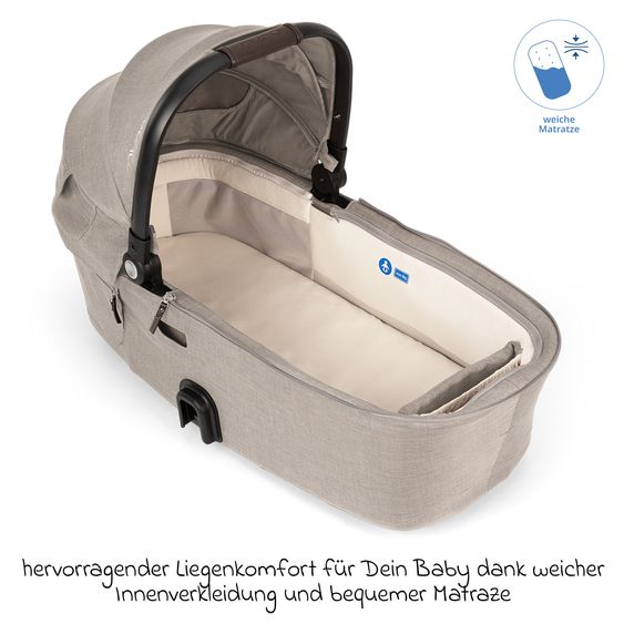 Nuna Navicella per neonati DEMI next pieghevole dalla nascita fino a 9 mesi con protezione visiva, finestra di ventilazione incl. materasso e copertura antipioggia - Chateau