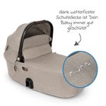 Product Image-10