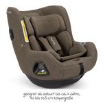 Product Image-2