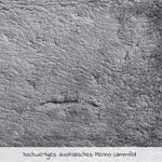 Immagine prodotto-4