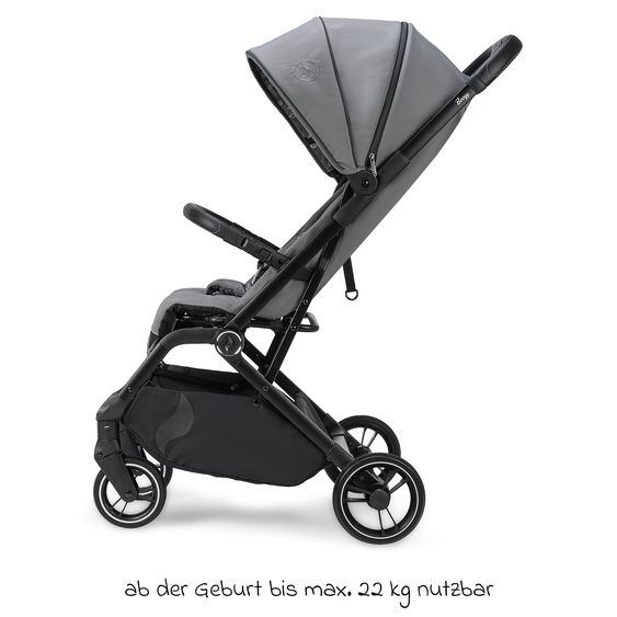 Osann Reisebuggy & Sportwagen Boogy 2 bis 22 kg belastbar nur 7,5 kg mit Liegeposition & Regenschutz - Monster