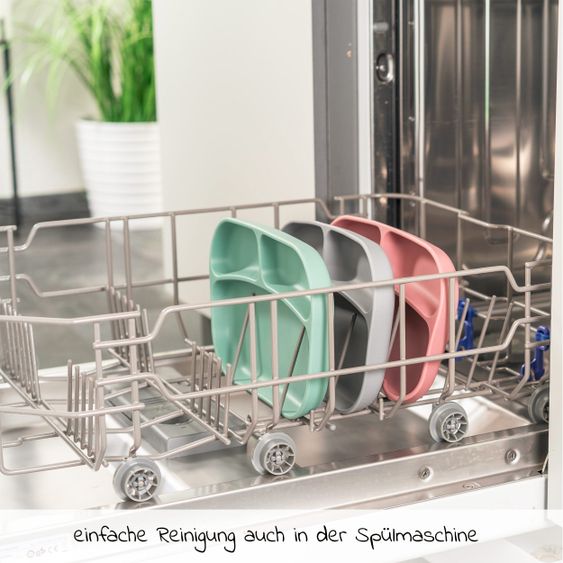 Philips Avent Babynahrungszubereiter 4-in-1 - SCF885/01 + Gratis Silikon-Teller - Salbeigrün