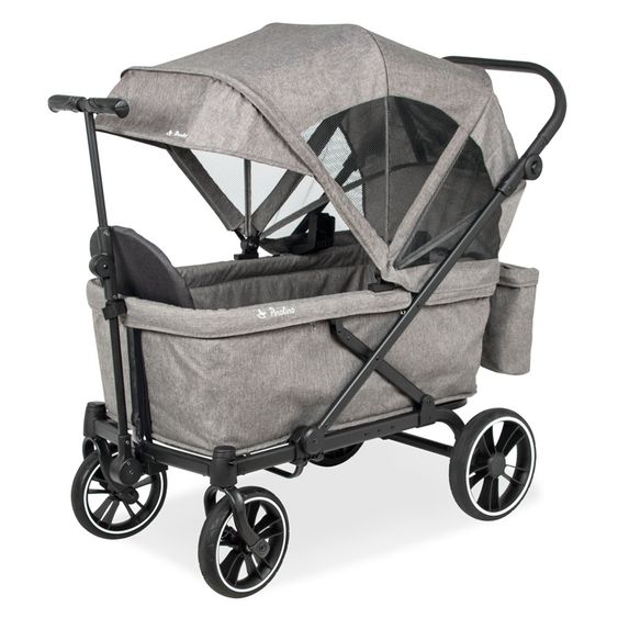 Pinolino Chariot De Transport Pliable Cruiser PI 500 - Gris