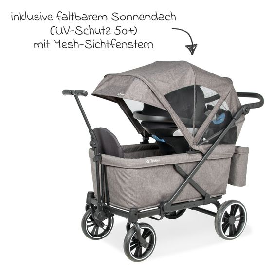 Pinolino Chariot De Transport Pliable Cruiser PI 500 - Gris