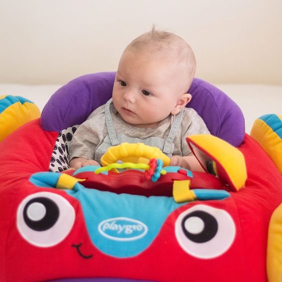 playgro Plüschauto mit Musik und Lichteffekten