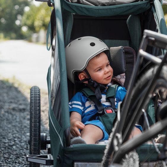 Qeridoo Kinderfahrradanhänger & Buggy Kidgoo 1 für 1 Kind (bis 50 kg) mit Kupplung, Dämpfsystem, XL-Kofferraum - Pacific Blue