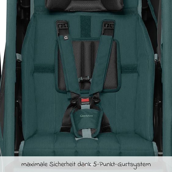 Qeridoo - Kinderfahrradanhänger & Buggy Kidgoo 1 für 1 Kind (bis 50 kg ...