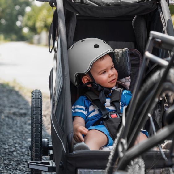 Qeridoo Kinderfahrradanhänger & Buggy Kidgoo 1 für 1 Kind (bis 50 kg) mit Kupplung, Dämpfsystem, XL-Kofferraum - Phantom Grey