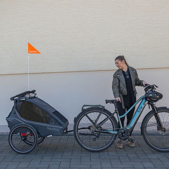 Qeridoo Kinderfahrradanhänger & Buggy Kidgoo 1 für 1 Kind (bis 50 kg) mit Kupplung, Dämpfsystem, XL-Kofferraum - Phantom Grey