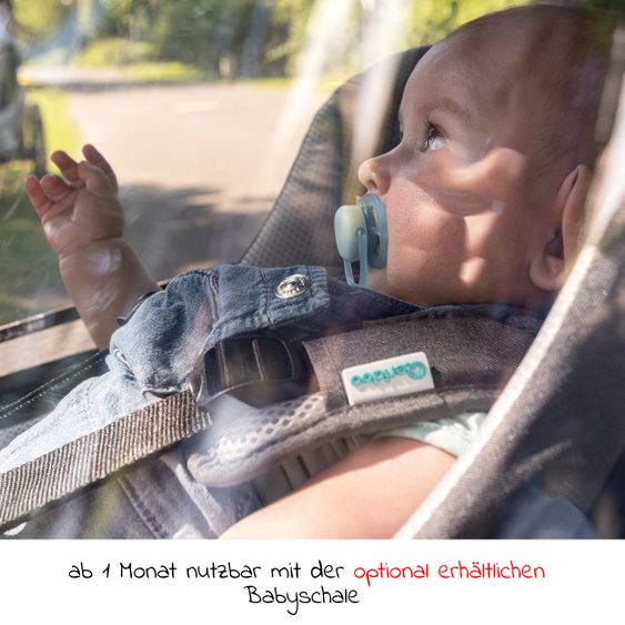 Qeridoo Kinderfahrradanhänger & Buggy Kidgoo 1 für 1 Kind mit Kupplung, Dämpfsystem, XL-Kofferraum (bis 50 kg) - Steel Grey