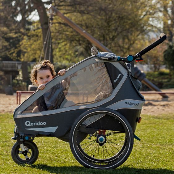 Qeridoo Kinderfahrradanhänger & Buggy Kidgoo 1 für 1 Kind mit Kupplung, Dämpfsystem, XL-Kofferraum (bis 50 kg) - Steel Grey