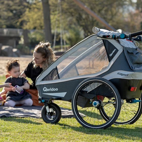 Qeridoo Kinderfahrradanhänger & Buggy Kidgoo 1 für 1 Kind mit Kupplung, Dämpfsystem, XL-Kofferraum (bis 50 kg) - Steel Grey