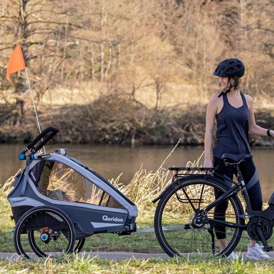 Qeridoo Kinderfahrradanhänger & Buggy Kidgoo 1 für 1 Kind mit Kupplung, Dämpfsystem, XL-Kofferraum (bis 50 kg) - Steel Grey