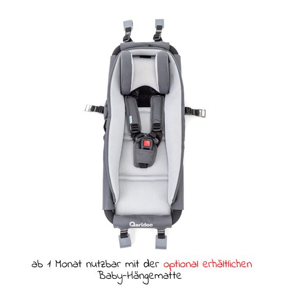 Qeridoo Kinderfahrradanhänger & Buggy Kidgoo 1 für 1 Kind mit Kupplung, Dämpfsystem, XL-Kofferraum (bis 50 kg) - Steel Grey