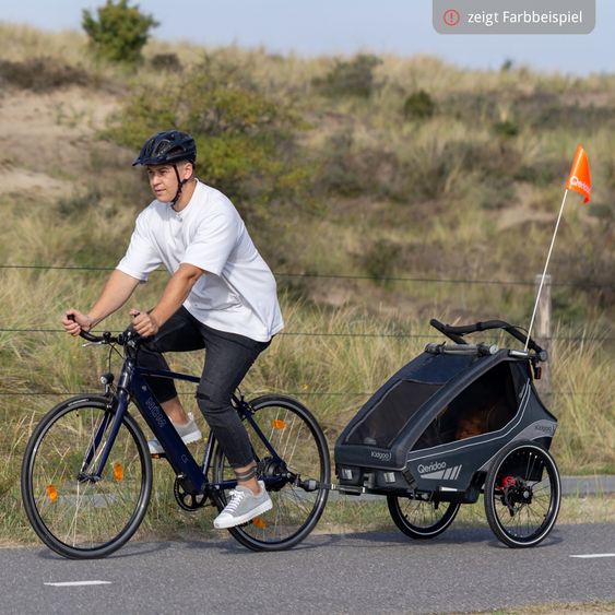 Qeridoo Kinderfahrradanhänger & Buggy Kidgoo 1 Sport für 1 Kind mit Kupplung, Blattfeder-Dämpfsystem (bis 50 kg) - Arctic Blue