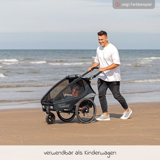 Qeridoo Kinderfahrradanhänger & Buggy Kidgoo 1 Sport für 1 Kind mit Kupplung, Blattfeder-Dämpfsystem (bis 50 kg) - Limited Edition - Grey