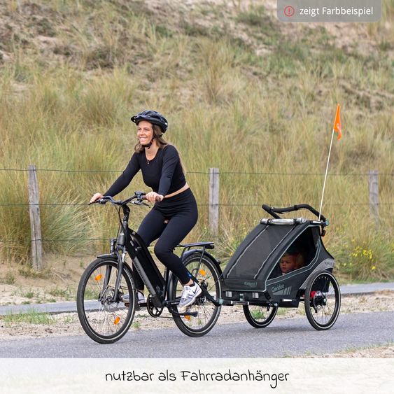 Qeridoo Kinderfahrradanhänger & Buggy Kidgoo 1 Sport für 1 Kind mit Kupplung, Blattfeder-Dämpfsystem (bis 50 kg) - Limited Edition - Grey