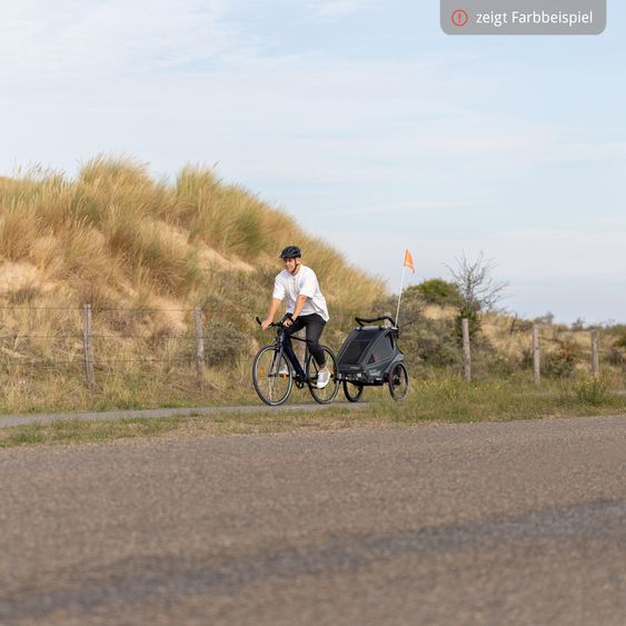 Qeridoo Kinderfahrradanhänger & Buggy Kidgoo 1 Sport für 1 Kind mit Kupplung, Blattfeder-Dämpfsystem (bis 50 kg) - Limited Edition - Grey