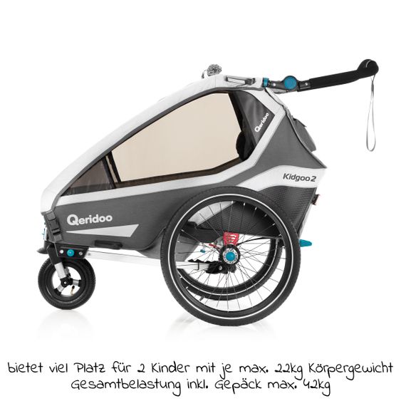 Qeridoo Kinderfahrradanhänger & Buggy Kidgoo 2 für 2 Kinder mit Kupplung, Dämpfsystem, XL-Kofferraum (bis 60kg) - Steel Grey