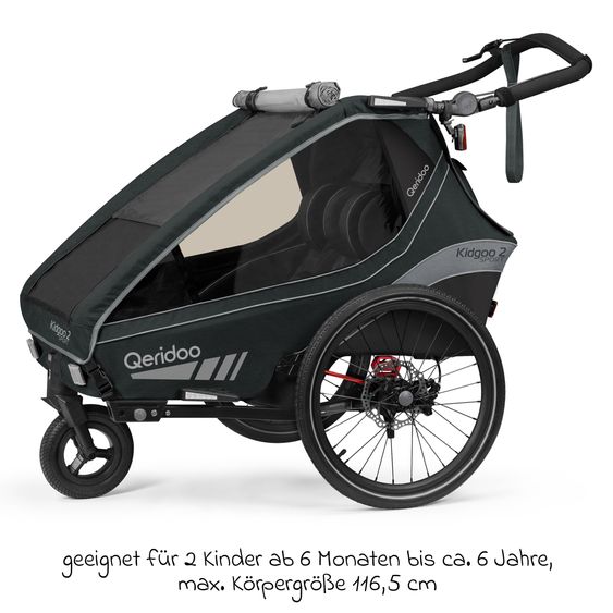 Qeridoo Kinderfahrradanhänger & Buggy Kidgoo 2 Sport für 2 Kinder mit Kupplung, Blattfeder-Dämpfsystem (bis 60 kg) - Limited Edition - Grey