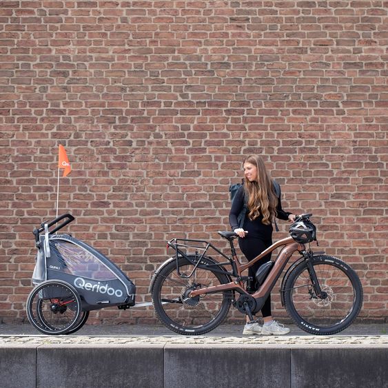 Qeridoo Kinderfahrradanhänger & Buggy QUPA 1 für 1 Kind mit Kupplung, Blattfeder-Dämpfsystem (bis 50 kg) - Blue