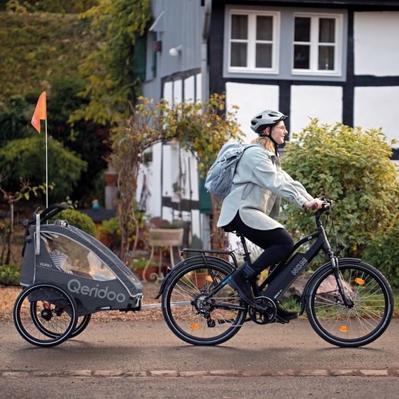 Qeridoo Kinderfahrradanhänger & Buggy QUPA 1 für 1 Kind mit Kupplung, Blattfeder-Dämpfsystem (bis 50 kg) - Grey