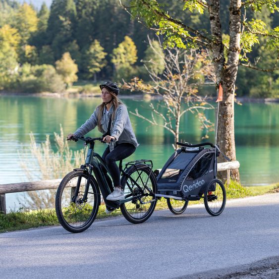 Qeridoo Kinderfahrradanhänger & Buggy QUPA 1 für 1 Kind mit Kupplung, Blattfeder-Dämpfsystem (bis 50 kg) - Grey