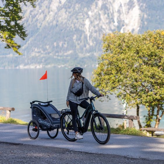 Qeridoo Kinderfahrradanhänger & Buggy QUPA 1 für 1 Kind mit Kupplung, Blattfeder-Dämpfsystem (bis 50 kg) - Grey