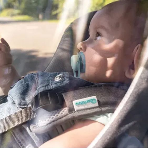 Qeridoo Kinderfahrradanhänger & Buggy QUPA 2 für 2 Kinder (bis 60 kg) mit Kupplung, Blattfeder-Dämpfsystem - Grey