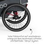 Product Image-17