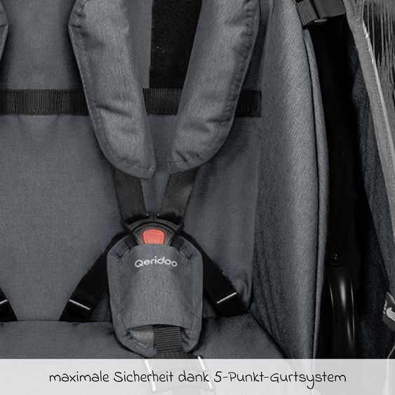 Qeridoo Kinderfahrradanhänger & Buggy QUPA 2 für 2 Kinder (bis 60 kg) mit Kupplung, Blattfeder-Dämpfsystem - Grey