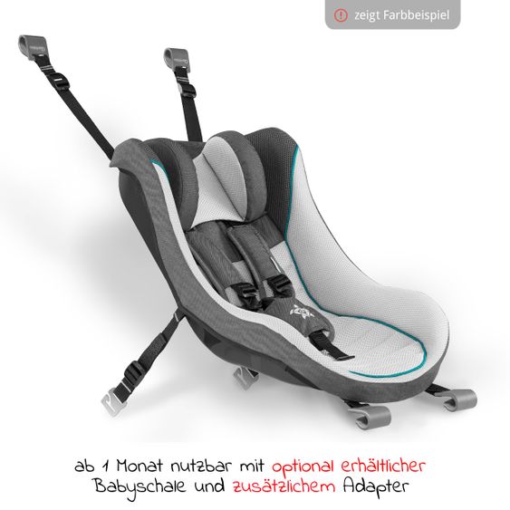 Qeridoo Kinderfahrradanhänger & Buggy QUPA 2 für 2 Kinder mit Kupplung, Blattfeder-Dämpfsystem (bis 60 kg) - Grey