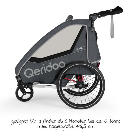 Qeridoo Kinderfahrradanhänger & Buggy QUPA 2 für 2 Kinder mit Kupplung, Blattfeder-Dämpfsystem (bis 60 kg) - Grey