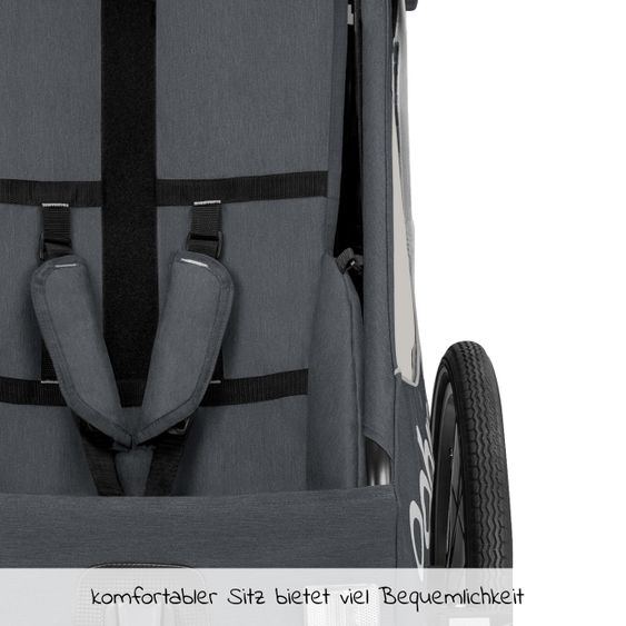 Qeridoo Kinderfahrradanhänger & Buggy QUPA 2 für 2 Kinder mit Kupplung, Blattfeder-Dämpfsystem (bis 60 kg) - Grey