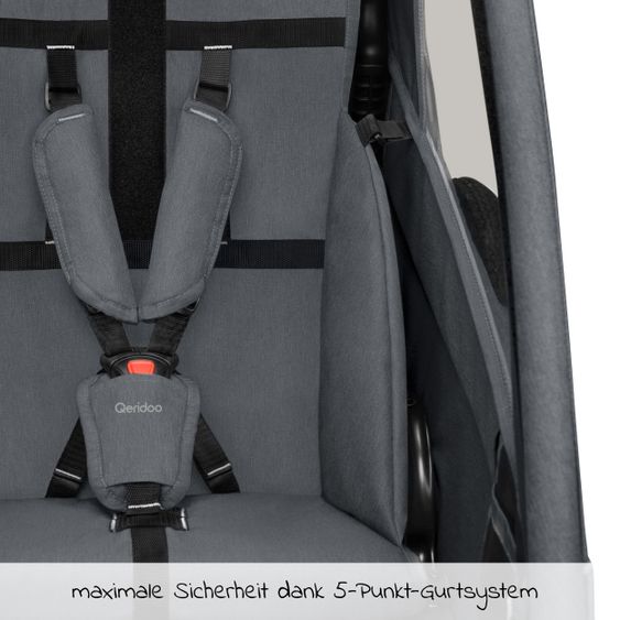 Qeridoo Kinderfahrradanhänger & Buggy QUPA 2 für 2 Kinder mit Kupplung, Blattfeder-Dämpfsystem (bis 60 kg) - Grey