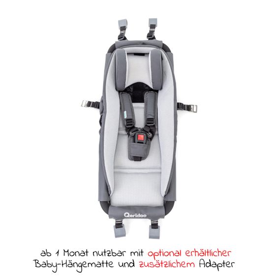 Qeridoo Kinderfahrradanhänger & Buggy QUPA 2 für 2 Kinder mit Kupplung, Blattfeder-Dämpfsystem (bis 60 kg) - Grey