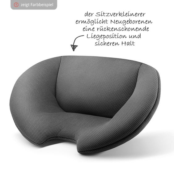 Recaro Babyschale Guardia - Aluminium Grey