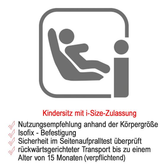 Recaro Babyschalen-Set Avan i-Size 45 cm - 83 cm / bis max. 15 Monate inkl. Isofix-Base - Prime - Mat Black