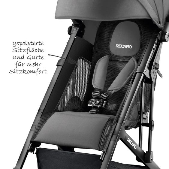 Recaro Buggy & Sportwagen Easylife Elite - Graphite