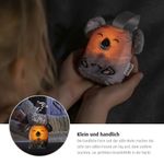 Product Image-5
