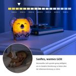 Product Image-6