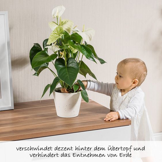 Reer Pflanzenschutznetz 20 cm - Schwarz