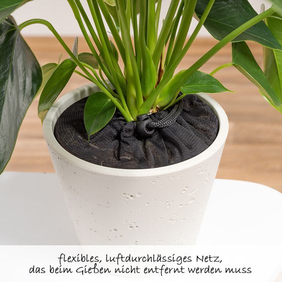 Reer Pflanzenschutznetz 20 cm - Schwarz